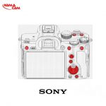 sonyalphaa7iiipic14