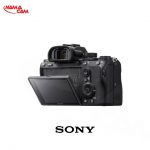 sonyalphaa7iiipic6