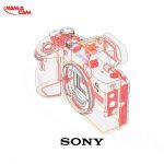 sonyalphaa7iiipic9